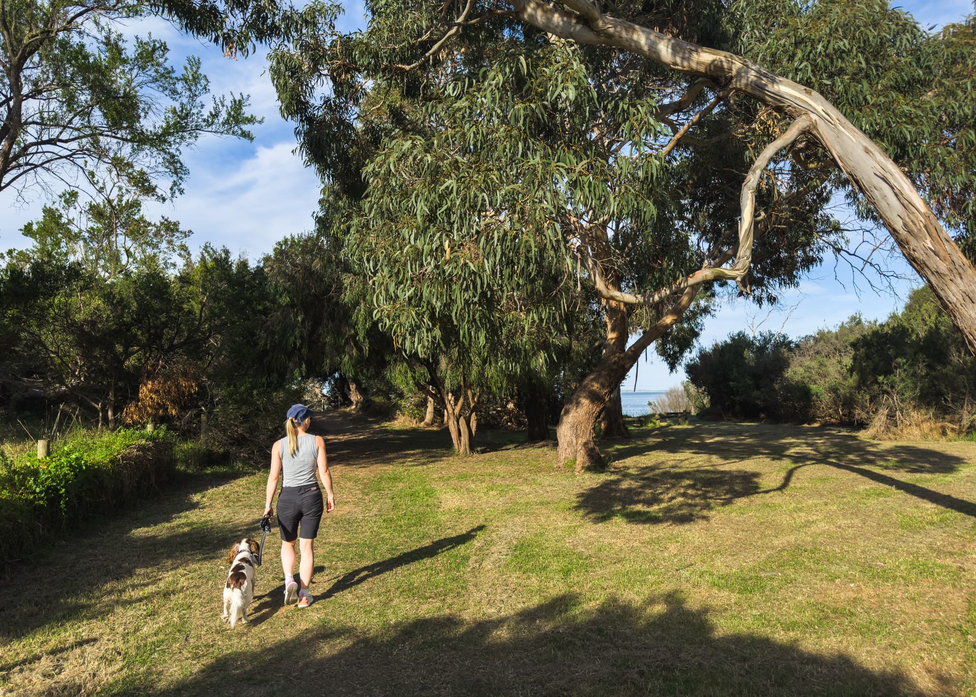 Dog-friendly beach within walking distance of Big Isle Retreat, Cowes